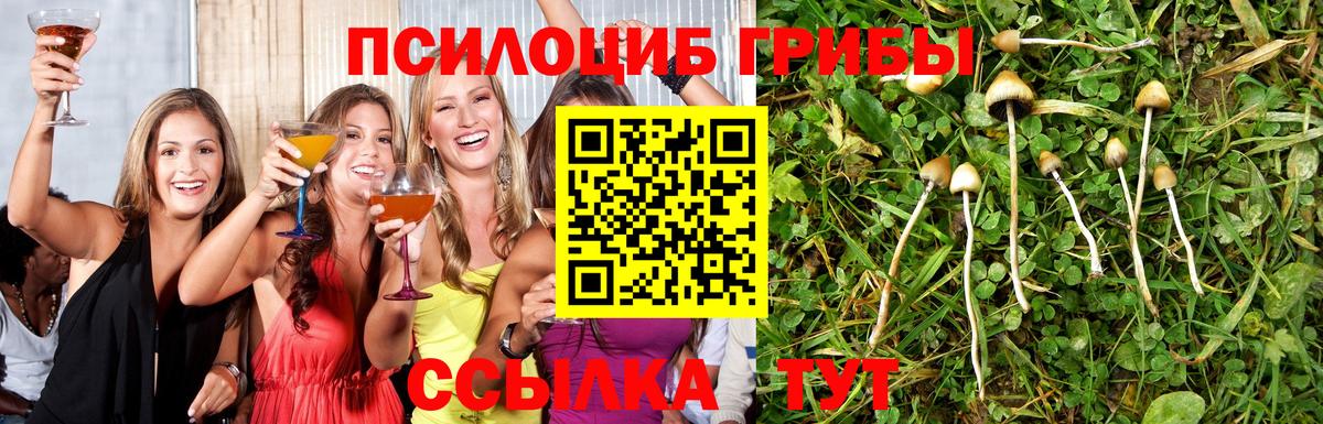 Где купить наркотики?  NBOMe  Каннабис  Вход с VPN  ГАШ  МЕФ кристаллы  Тайшет  Кокаин 