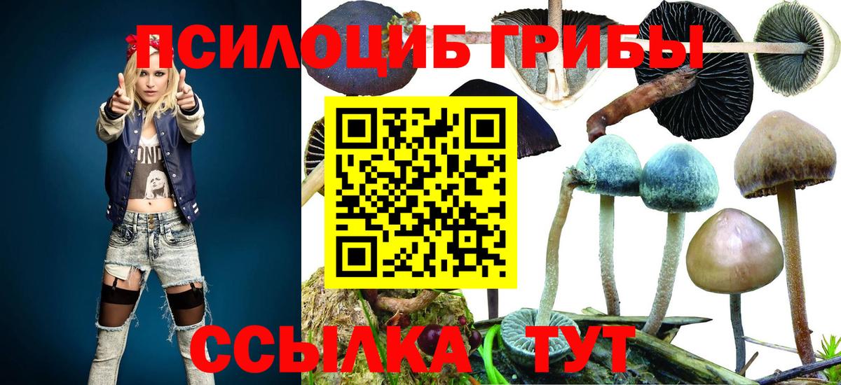Галлюциногенные грибы Psilocybine cubensis Тайшет